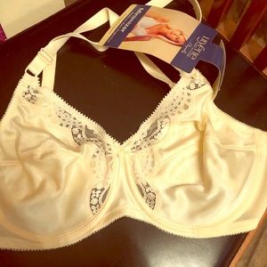 Lilyette Minimizer Seamless Underwire BRA  -Size 36C NEW
